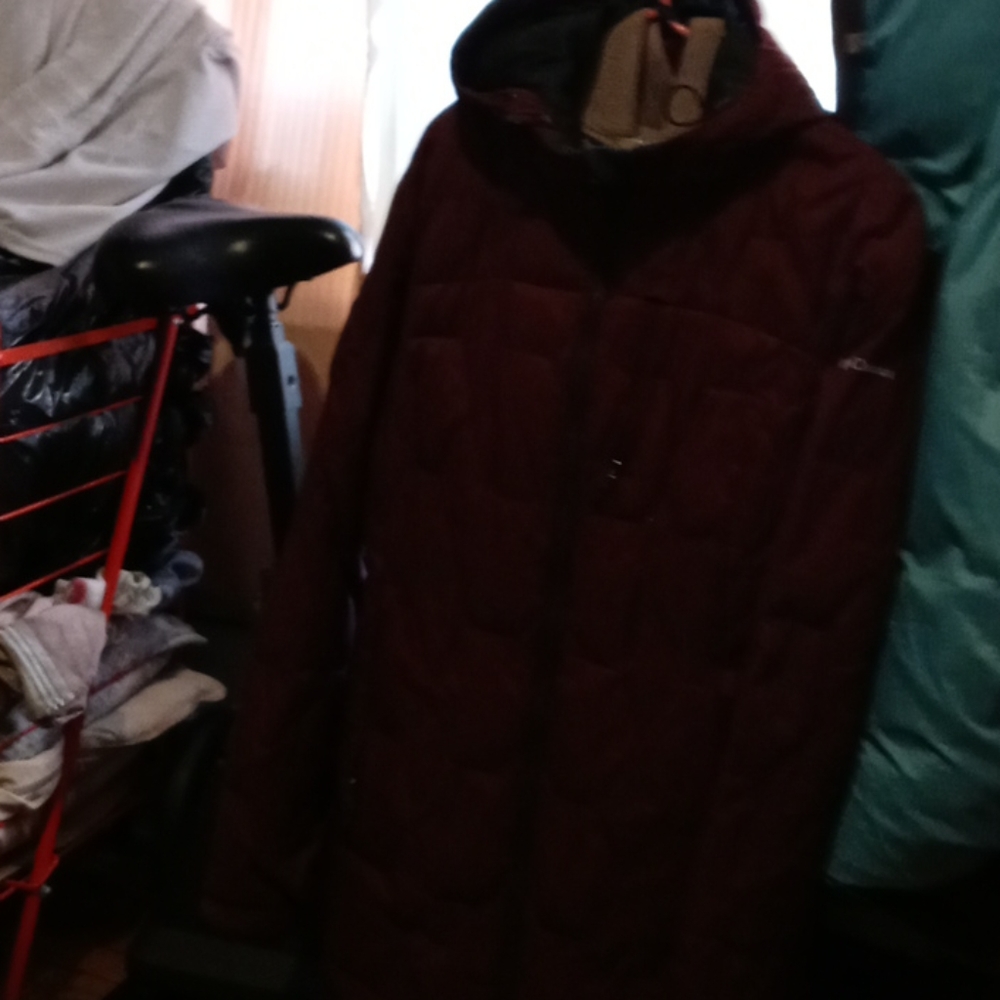 Winter Coat